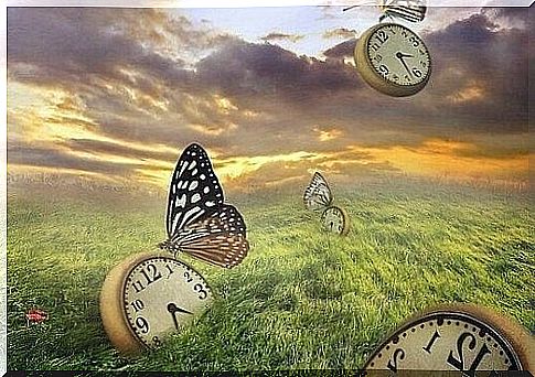 Clocks in a meadow with butterflies