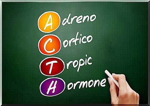 Fundamental hormones for the body.