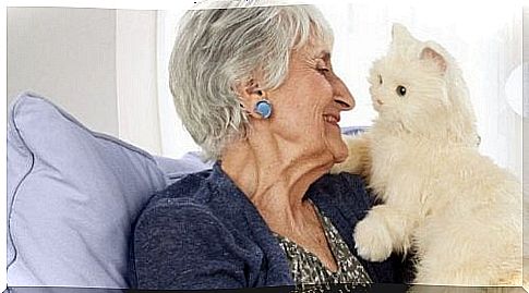 Elderly lady with cat