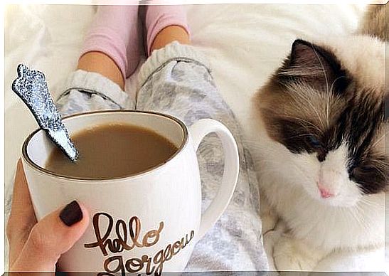 woman-drinks-coffee-with-cat