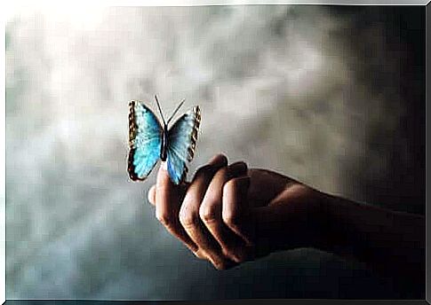 Woman holding a blue butterfly in her hand.