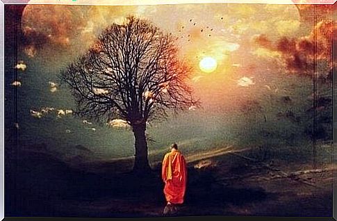 Buddhist monk near a tree