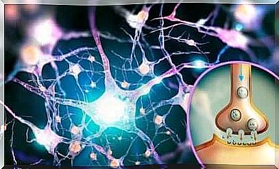 Glutamate: multifunctional neurotransmitter