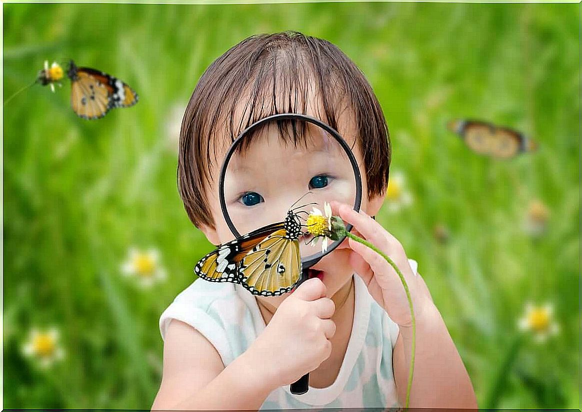 Child with magnifying glass on a butterfly.