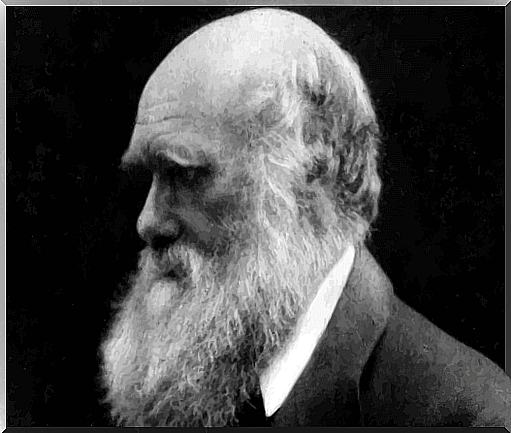 Charles Darwin and the origin of religions