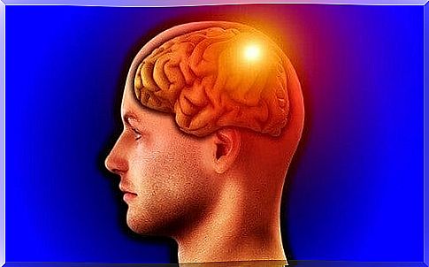 Drawing of the parietal lobe