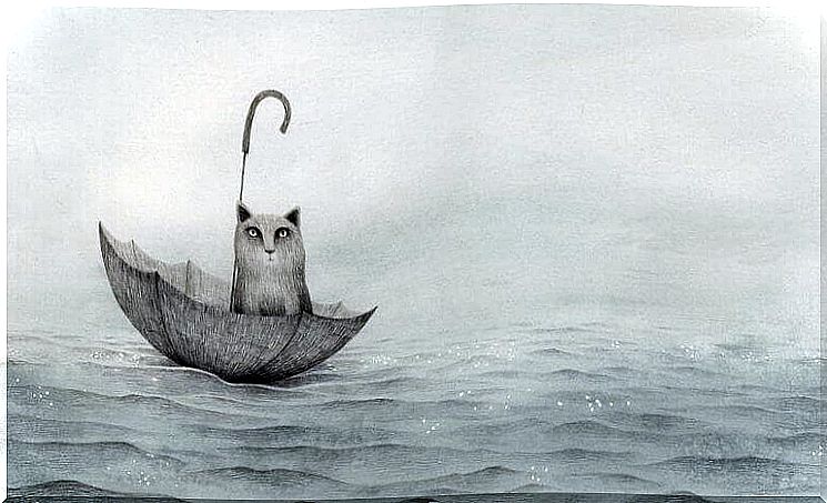 Cat inside open umbrella in the sea