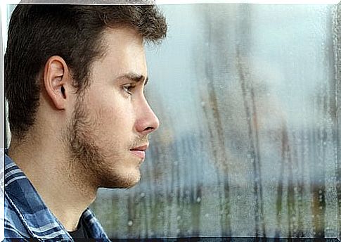 boy looks out of the window