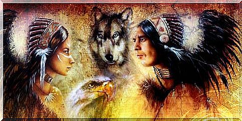 American Indian wolf medicine